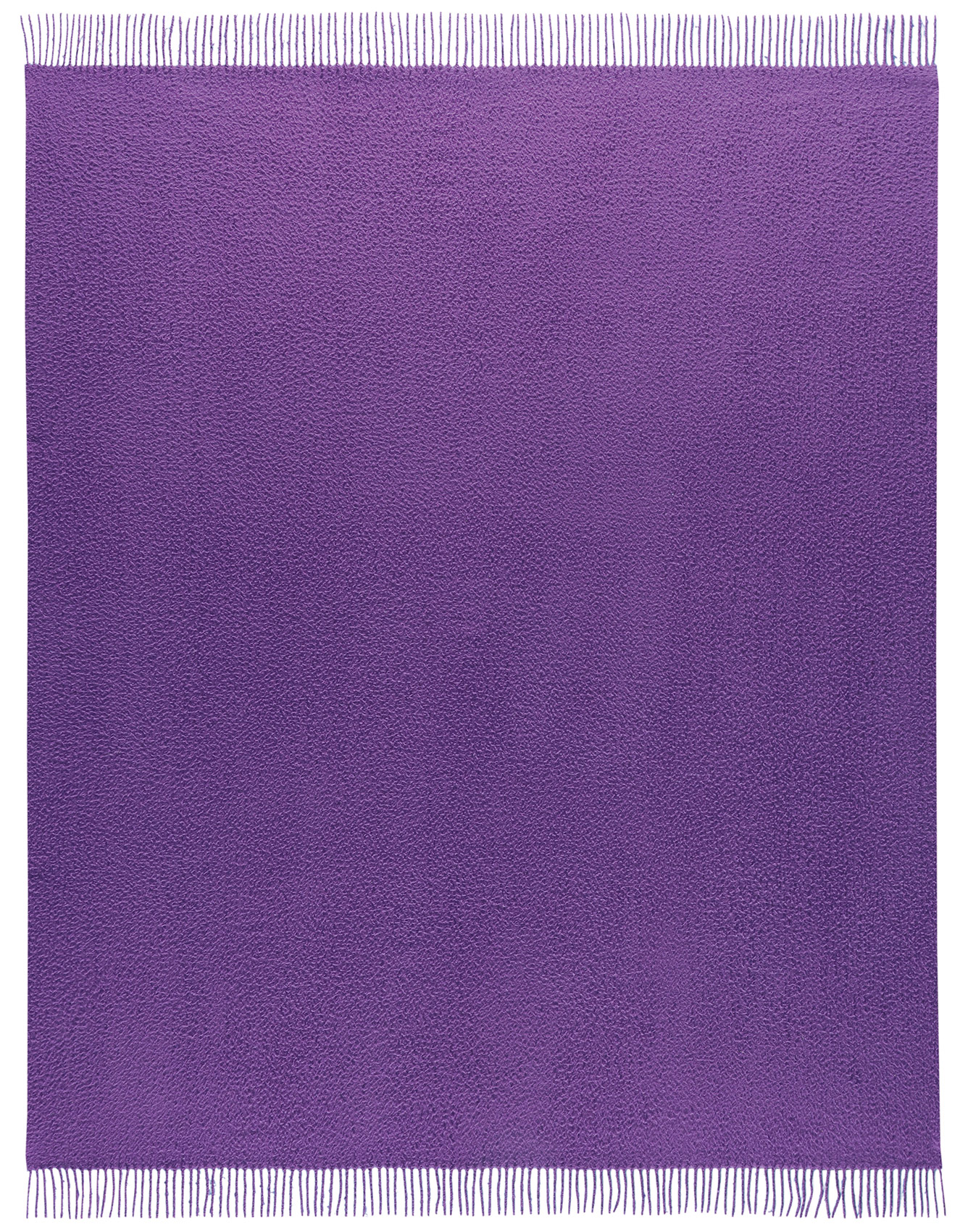 Biederlack Plaid Trend | purple